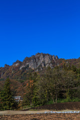  	秋の岩櫃山の風景
