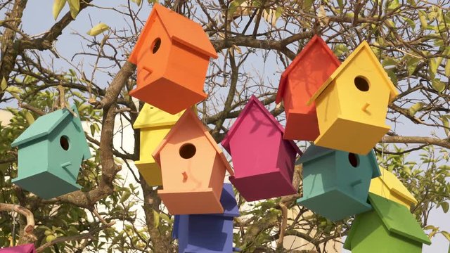 Colourful Wooden Bird Houses On the tree. Illustrate housing problem and mortgage loan
