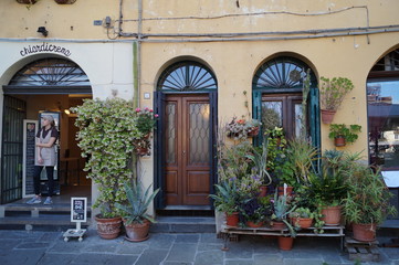 Fototapeta na wymiar The beautiful art city of Lucca, Tuscany, Italy