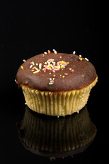 Vanilla cupcakes with chocolate cream and colorful sprinkles above black reflections background
