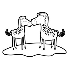 zebra couple over grass with black sections silhouette and thick contour vector illustration