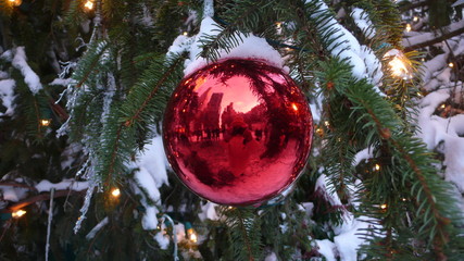Chrstmas tree balls or baubles in pine tree with fairy lights