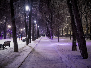 night snowy winter  landscape in the alley of city park