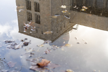 reflection of a building in a puddle with autumn leaves
