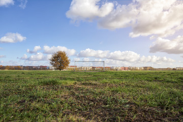 soccer goal with tree, skyline and cloudscape