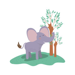 elephant cartoon in forest next to the trees in colorful silhouette vector illustration