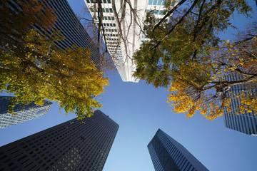 Fototapeta na wymiar 日本の東京都市景観「新宿の高層ビル群」