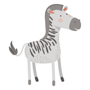 zebra cartoon colorful silhouette in white background vector illustration
