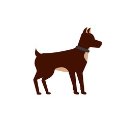 dog pet icon image vector illustration design 