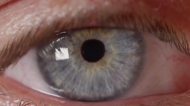 SLOW MOTION CLOSE UP: Bright blue male eye looking into camera lens and blinking. Unrecognizable man with intense blue eyes gazing into distance. Searching eye flinches in brightly lit living room.