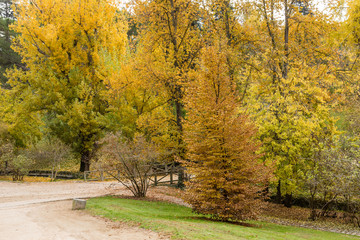 Madrid West Park with trees tinted by autumn colors