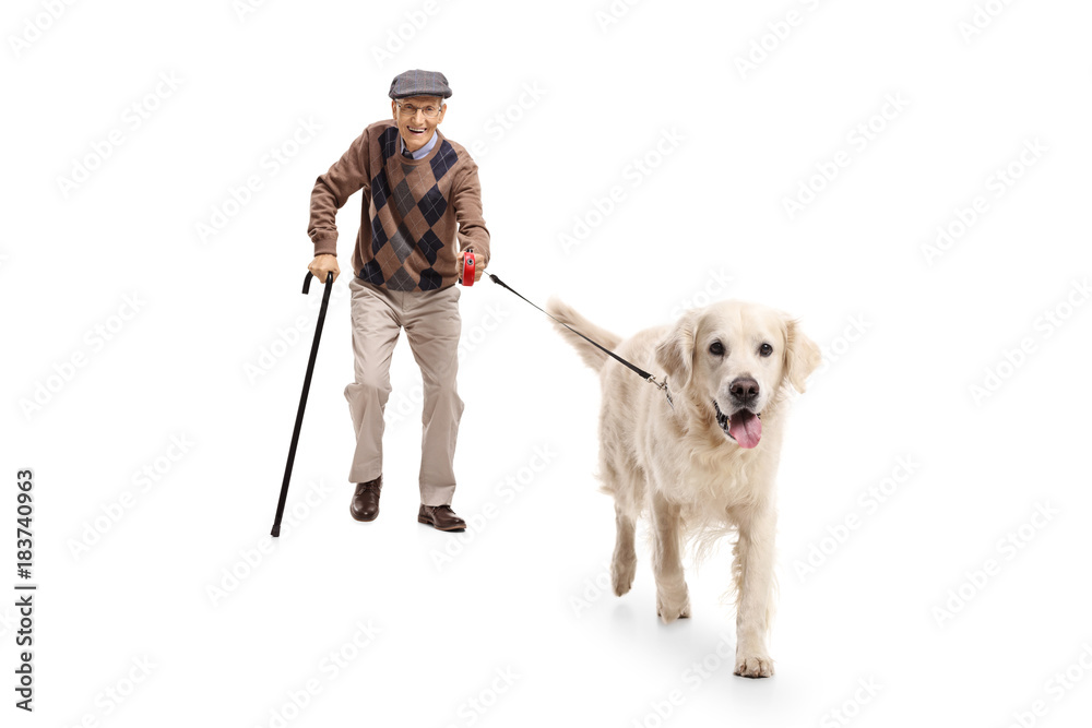 Canvas Prints elderly man walking a dog