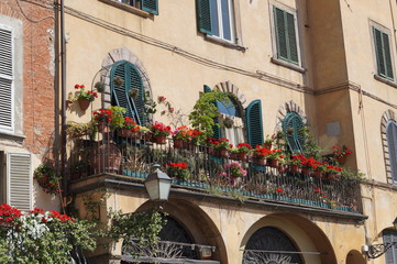 Welcome to Lucca, Italy
