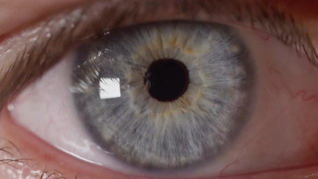 SLOW MOTION MACRO: Man with shiny blue eyes gazing into distance. Reflective blue male eye observing surroundings in bright room. Inquisitive eye moving left and right as man is searching around room.