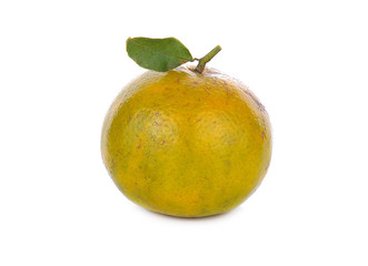 mandarin fruit isolated on white background
