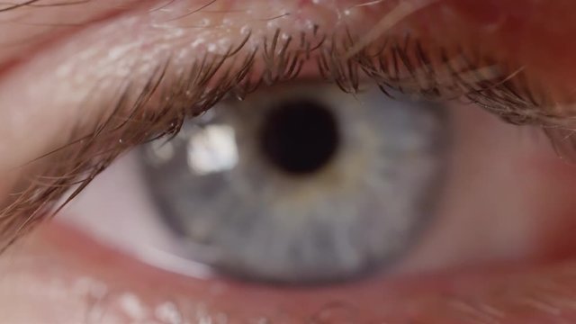 MACRO DOF: Detail of vividly colored blue eye looking into camera. Refocusing from man's eyelashes to blue eye. Macro shot of man looking straight into camera, not blinking. Unflinching eye gazing.