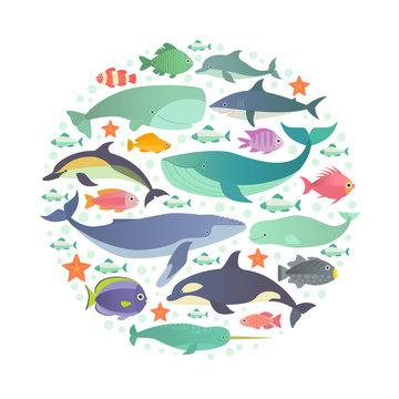 Marine creatures. Vector illustration of whales, dolphins and fish, such as narwhal, blue whale, dolphin, beluga whale, humpback whale, sperm whale and shark arranged in a circle. Isolated on white.