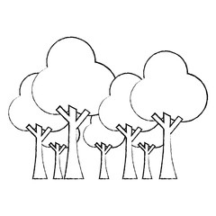 trees forest park natural botanical ecology vector illustration sketch