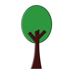 green tree nature forest plant image vector illustration