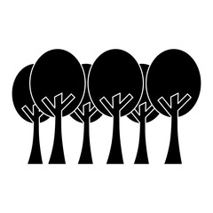 trees forest park natural botanical ecology vector illustration black image