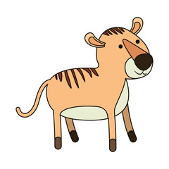 tiger cartoon colorful silhouette in white background with thin contour vector illustration