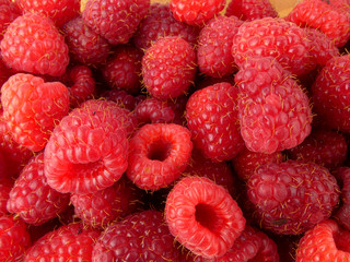Fresh raspberries isolated on wooden plank close up