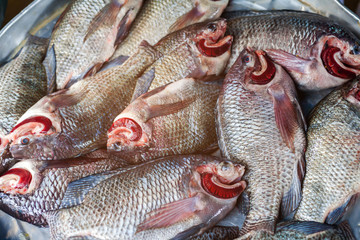raw tilapia fish preparing for cook in market