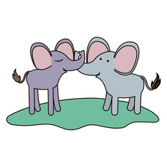 elephants couple over grass in colorful silhouette on white background vector illustration
