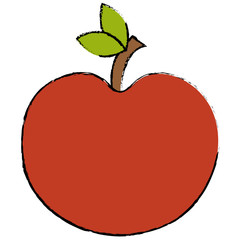 apple fresh fruit icon vector illustration design