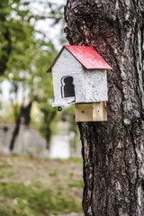 house for birds, red white birdhouse suspended from a tree