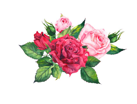 Red, pink roses - floral composition. Watercolor for wedding card