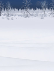 Beautiful Winter Forest Landscape Background
