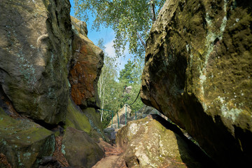 Wanderweg auf der Teufelsmauer zwischen Timmenrode und Blankenburg im Nationalpark Harz