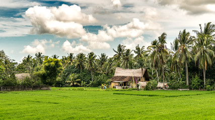 balinese traditional house architecture with beautiful sky and rice field in bali. indonesia. ubud.