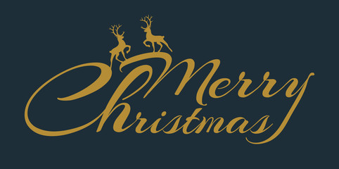 Fototapeta na wymiar Merry Christmas - beautiful typography for holidays with hand drawn decorations. Vector.