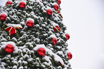 Christmas Tree Background