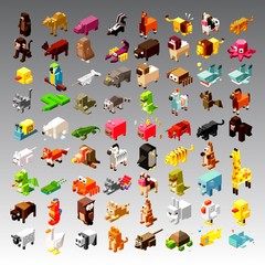 Isometric  animals illustration