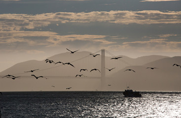 The Golden gate bridge in San Francisco at sunset