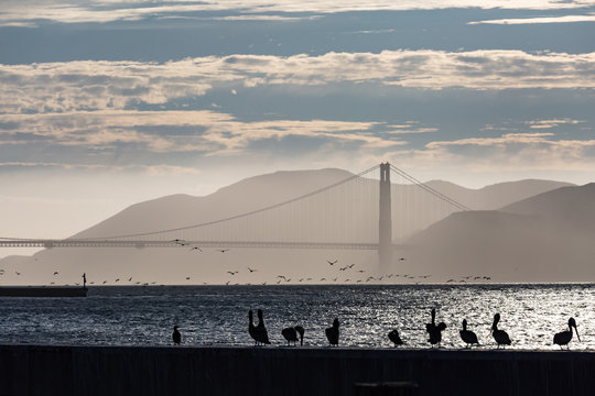 The Golden gate bridge in San Francisco at sunset
