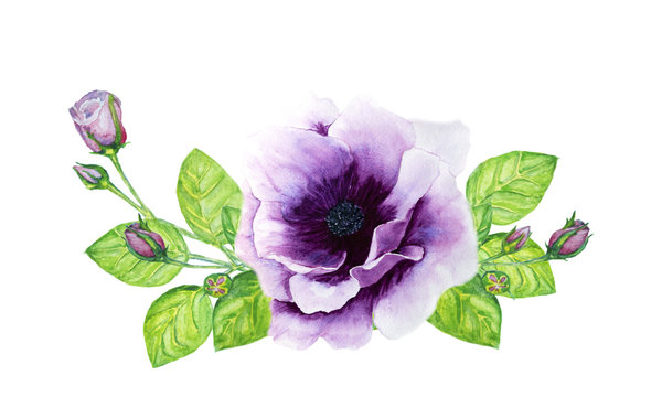 bouquet of roses and anemone watercolor illustration