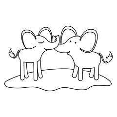 elephants couple over grass in monochrome silhouette vector illustration