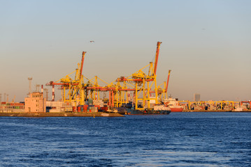 Container terminal with cranes