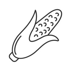 Corn linear icon