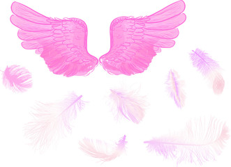 Fototapeta na wymiar pink wings and seven feathers isolated on white