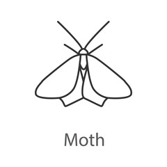Moth linear icon