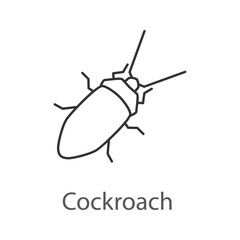Cockroach linear icon