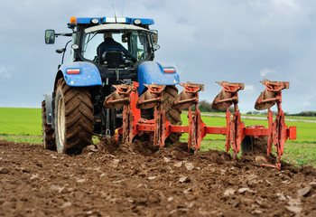 Obraz premium labours d'automne