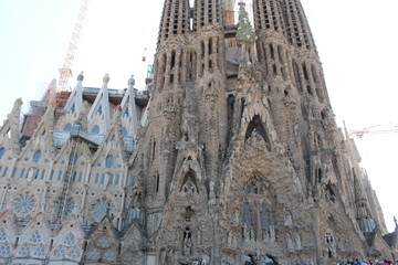 gzergzerg zerg rezgergzegrg