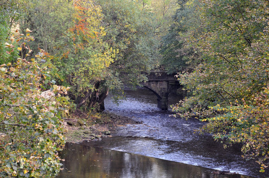 the river calder near hebden bridge with stone bridge and surrounding trees