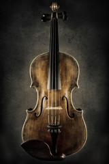 Fototapeta na wymiar close up of a violin